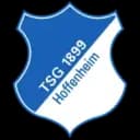 Hoffenheim logo