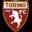 Torino logo