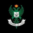 Club Deportivo Toledo logo